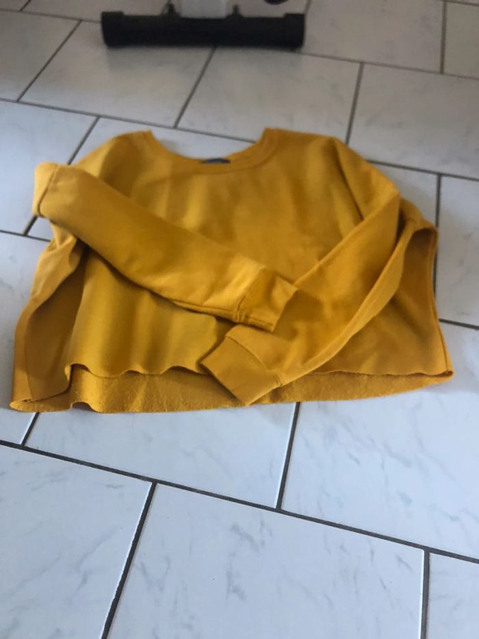 Pull court - photo numéro 4