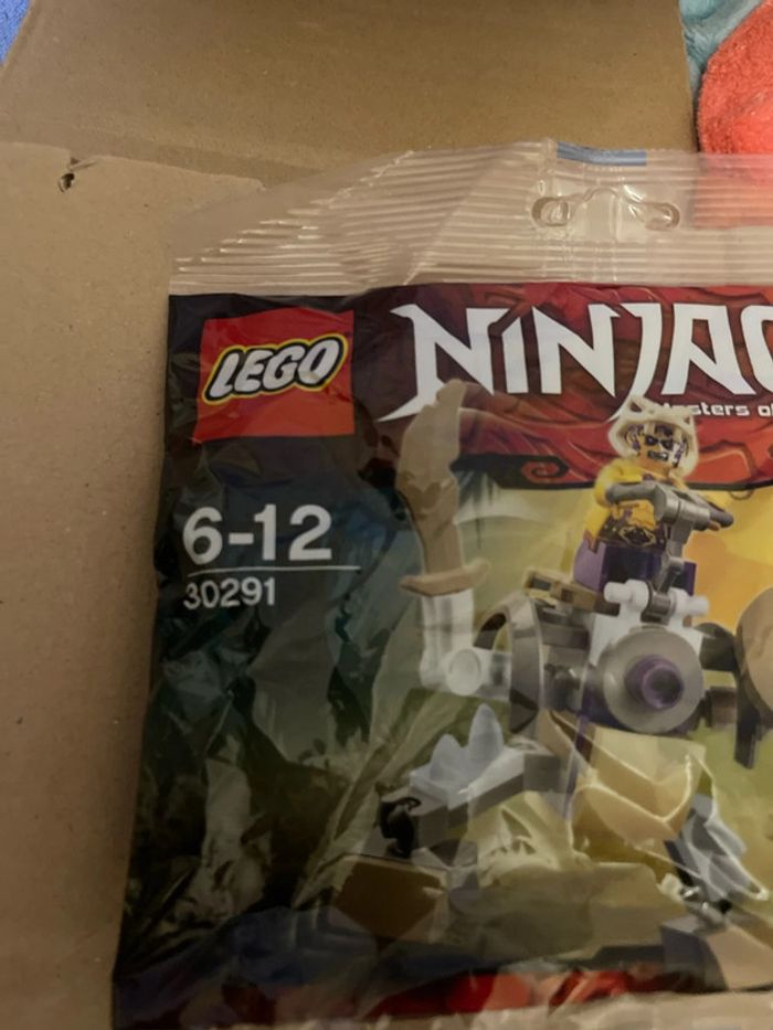 Sachet lego ninjago 30291 - photo numéro 3