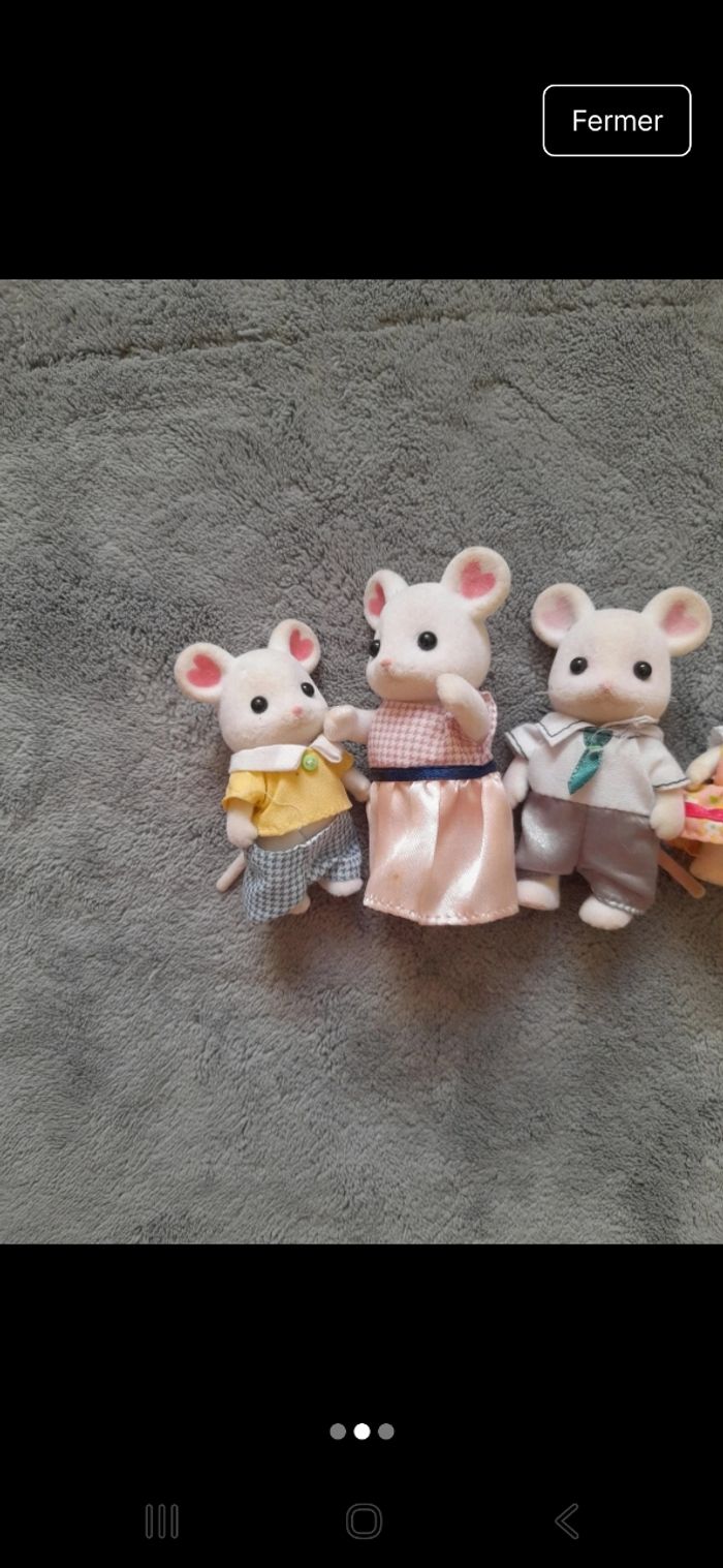 Familles souris - photo numéro 2