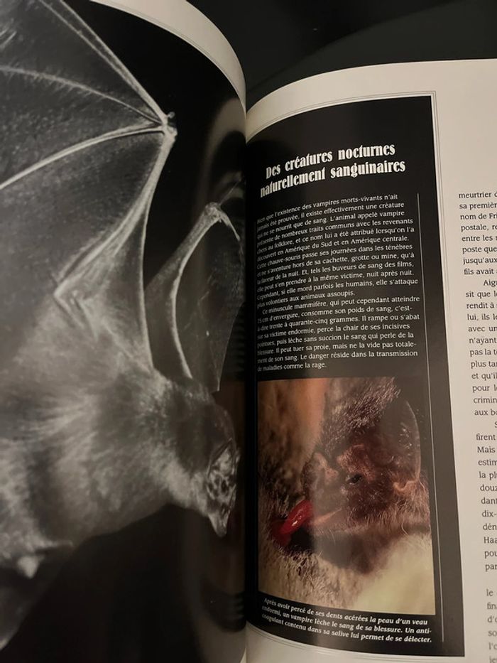 Attention à ne pas mettre entre toutes les mains ! 3 livres ésotériques - photo numéro 6