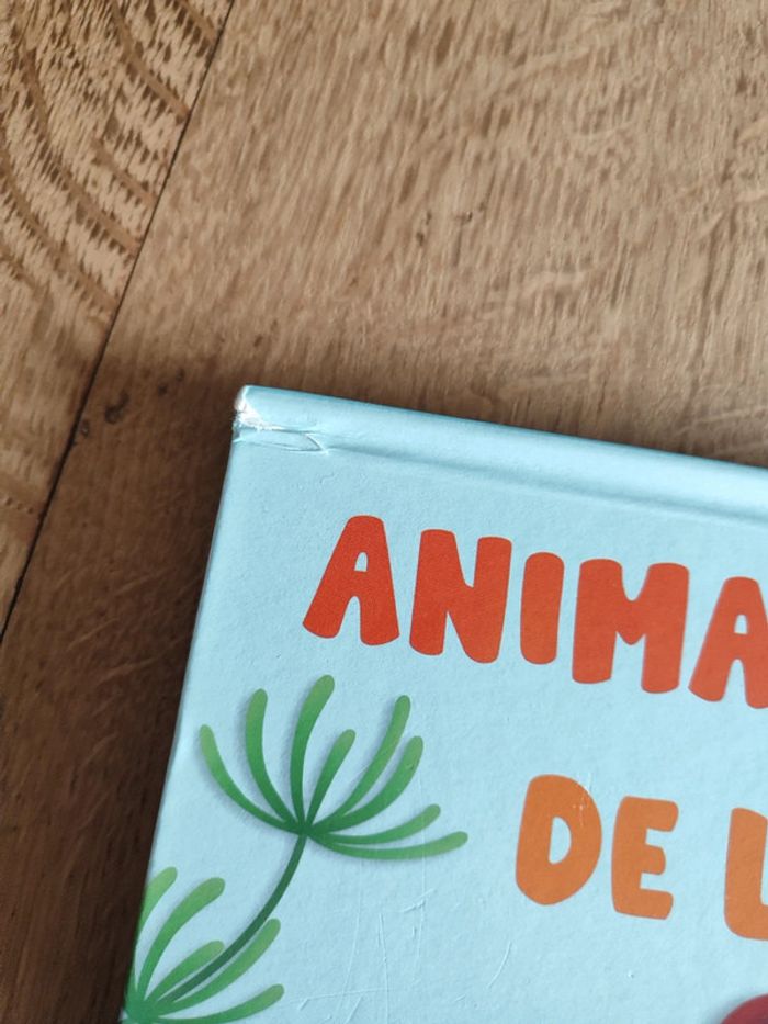 Animaux de la mer - photo numéro 2