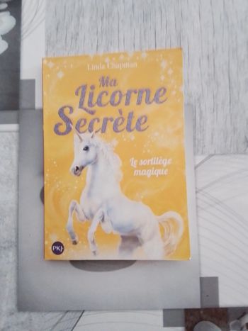 Ma licorne secrète