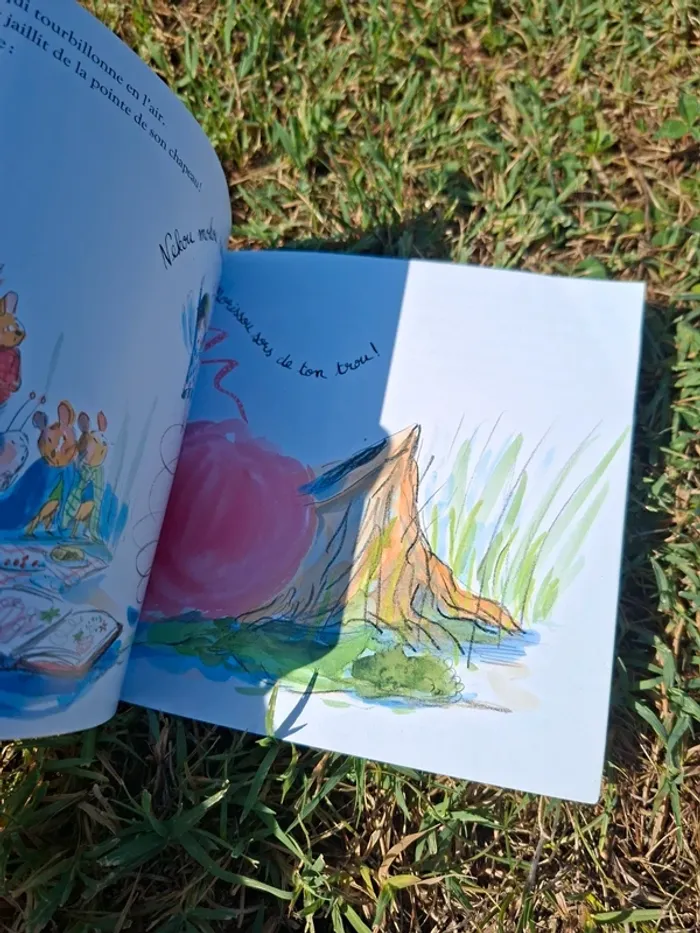 Livre musculette et la magie - photo numéro 2