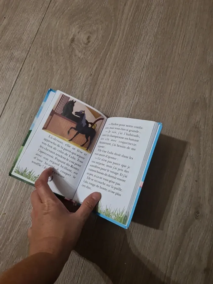 Mes amis les chevaux la grande compétition - photo numéro 3