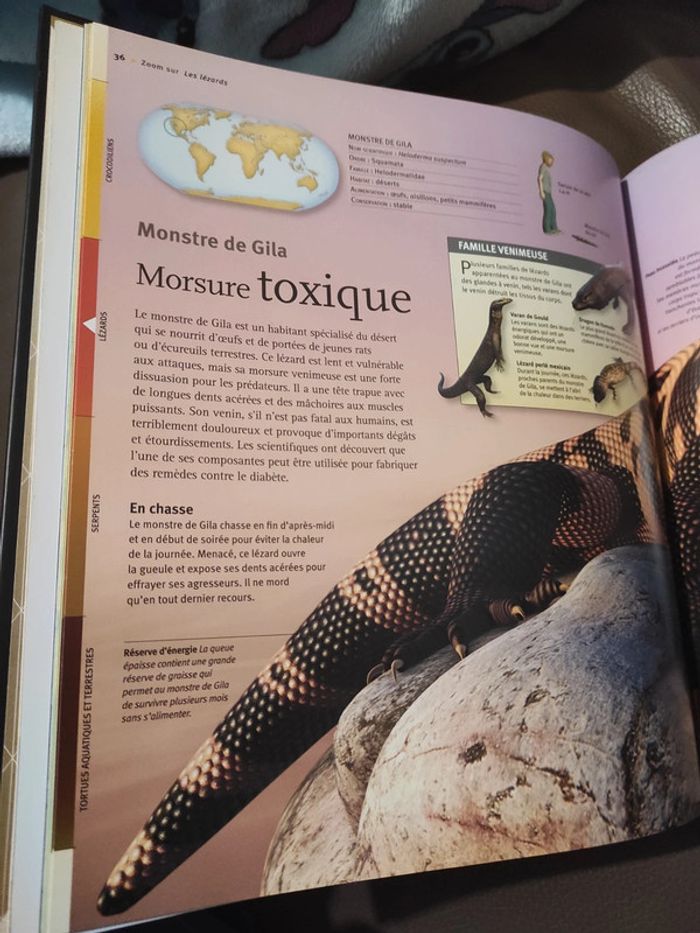 Livre les reptiles à la loupe Larousse - photo numéro 3