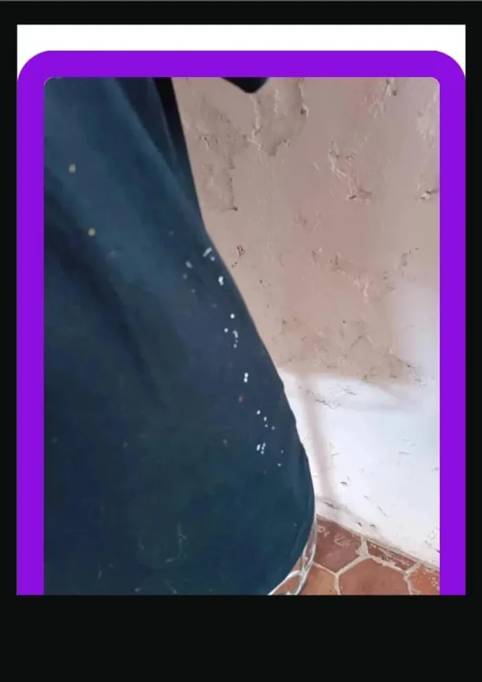 Tee shirt taille L - photo numéro 3