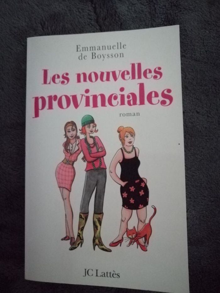 Roman Les nouvelles provinciales d'Emmanuelle De Boysson en bon état