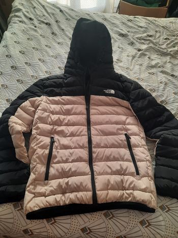 Manteau the north face