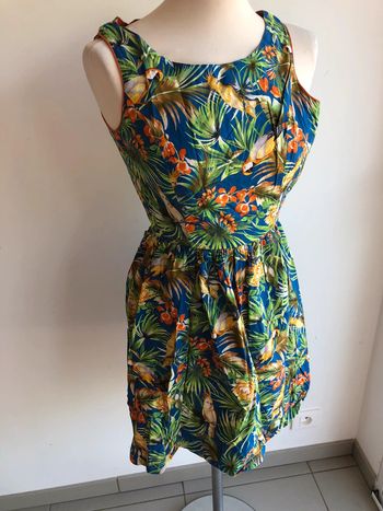 Robe perroquet bizzbee xs