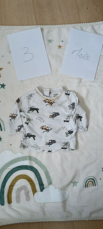 Tee-shirt manches longues