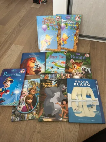 Lot de livres