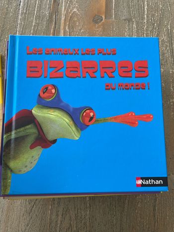 Les animaux les plus bizarres au monde !