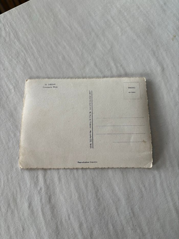 Carte postale vintage Alger - photo numéro 5