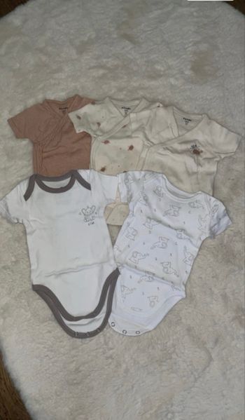 Lots de 5 bodies manches courtes 