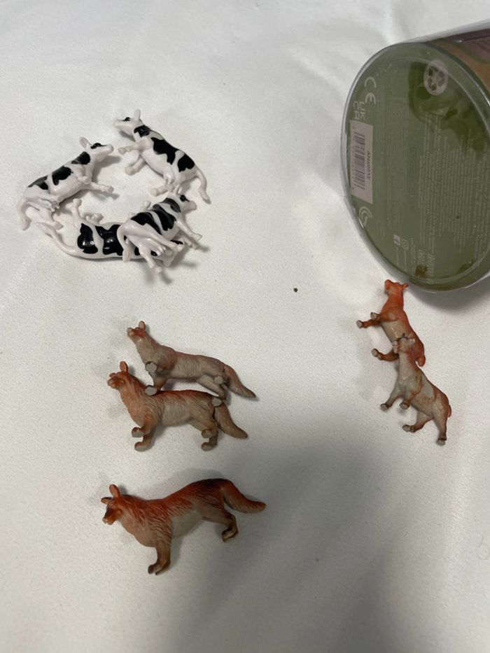Lot animaux - photo numéro 8