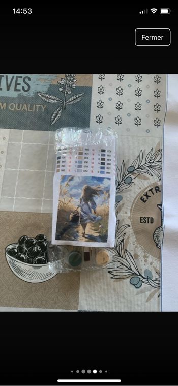 Kit complet de peinture par numéro - Neuf