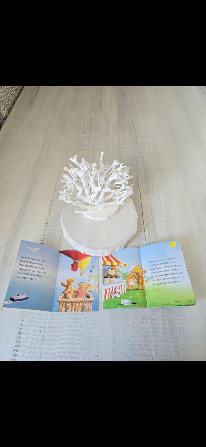 Livres histoire bébé ours - photo numéro 5