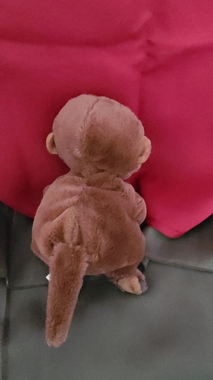 TY - PELUCHE BEANIE BELLIES MITCH LA LOUTRE - photo numéro 3