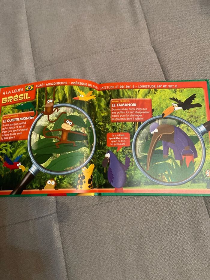 Les animaux les plus forts du monde ! - photo numéro 3