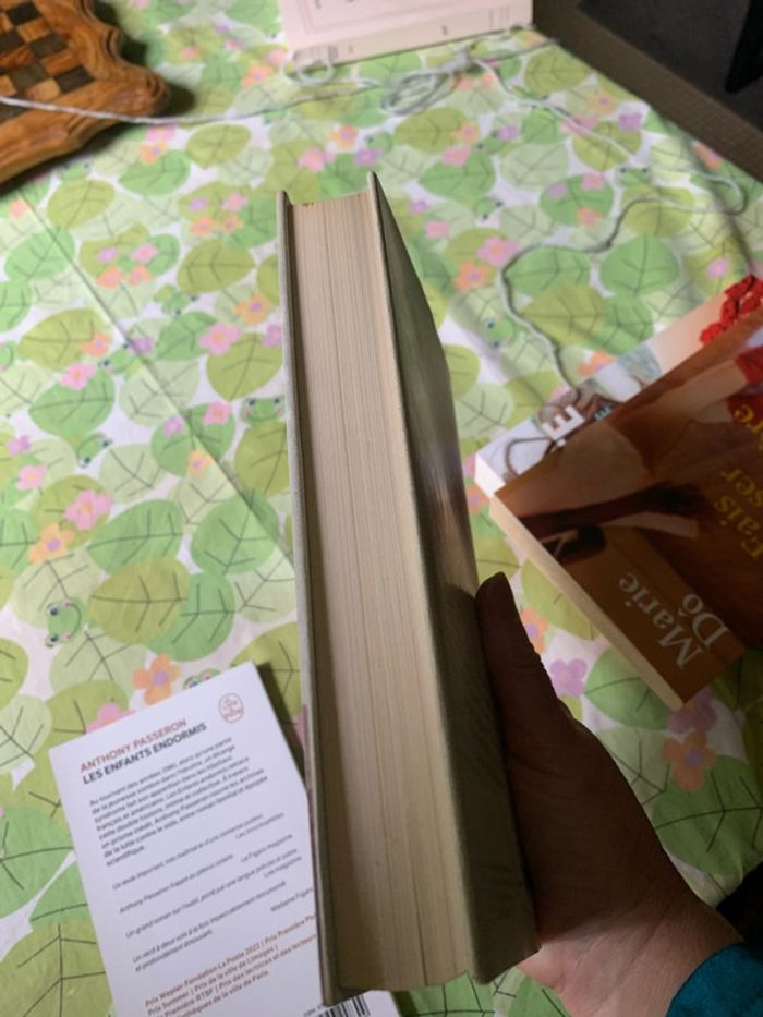 Lot romans - photo numéro 17