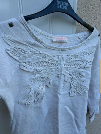 Pull papillon