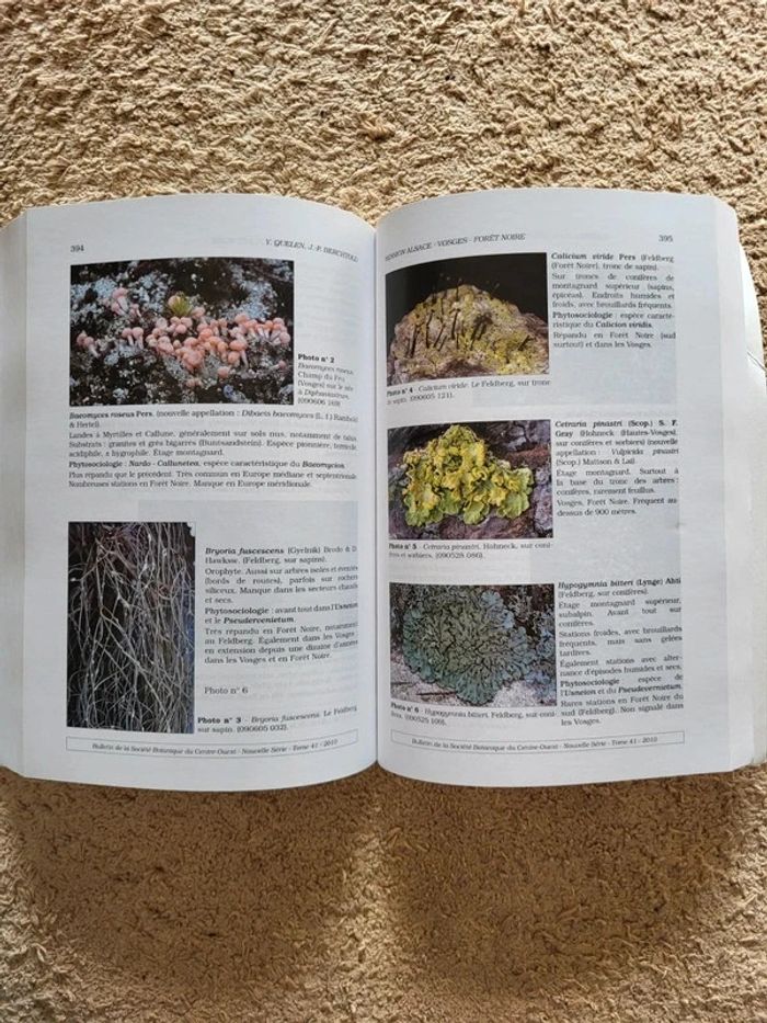 Bulletin de la Société Botanique du Centre-Ouest – Tome 41 (2010) - photo numéro 8