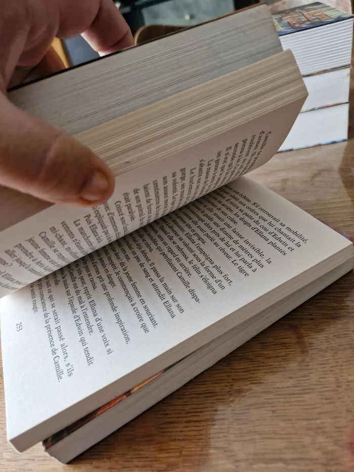 Intégrale Saga Ewilan en 6 tomes - photo numéro 6