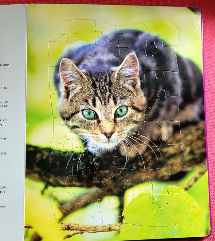 3 Puzzles de chats - photo numéro 4