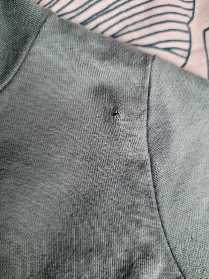 Lot de hauts 6 mois dont 1 offert - photo numéro 14