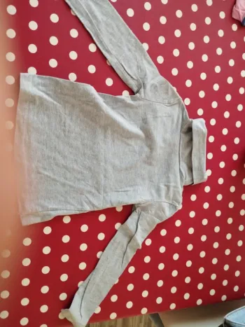 Haut gros longues manches