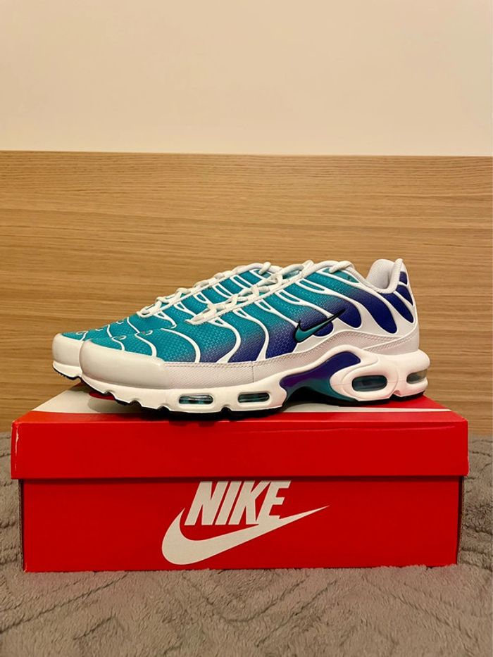 nike air max plus aqua