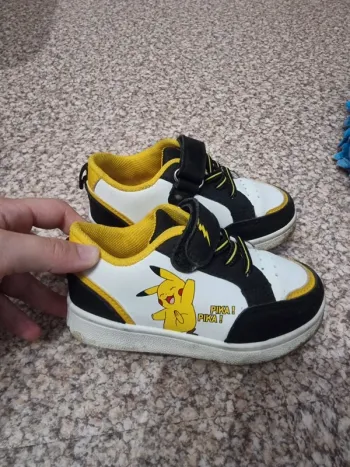 Basket pokemon