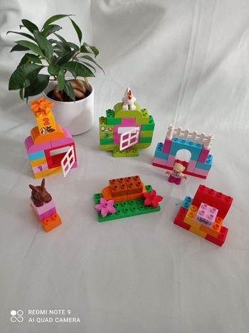 Duplo 10571 jardin merveilleux