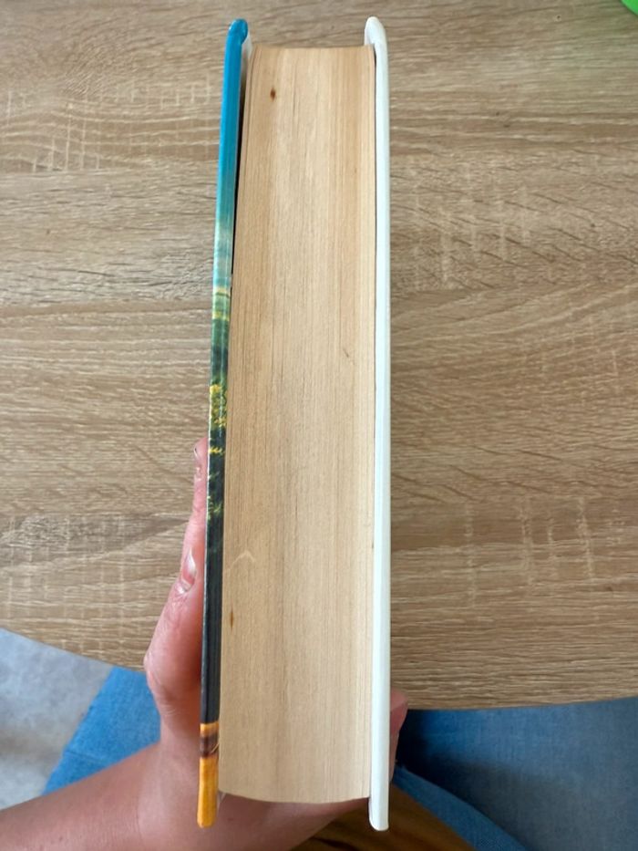 Livre : L’allée du roi - photo numéro 3