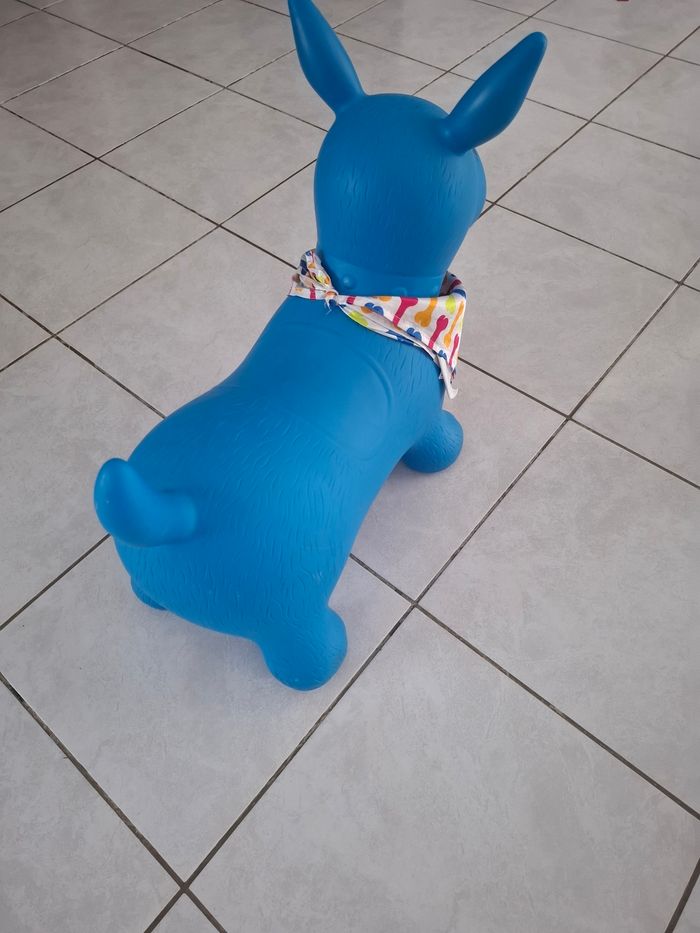 Chien sauteur ludi - photo numéro 3