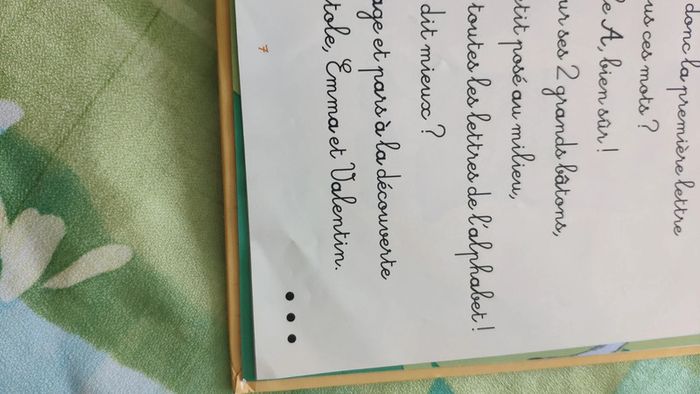 Lot de livres mon abcedaire des animaux a c g k - photo numéro 4