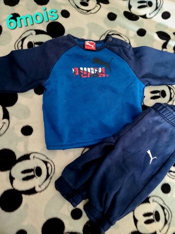 Ensemble puma