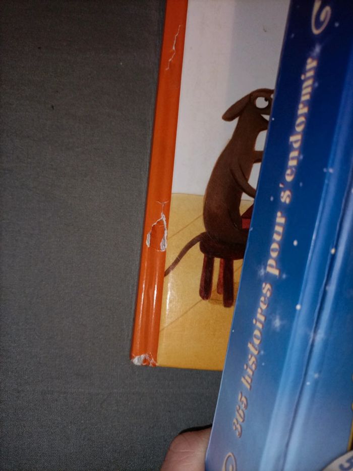 Livres de contes - photo numéro 3