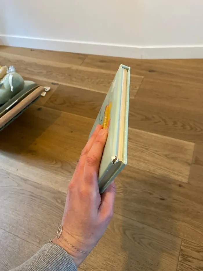 Livre - photo numéro 8