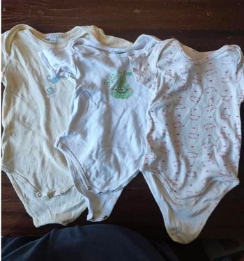 Lot de 3 bodies manche courtes