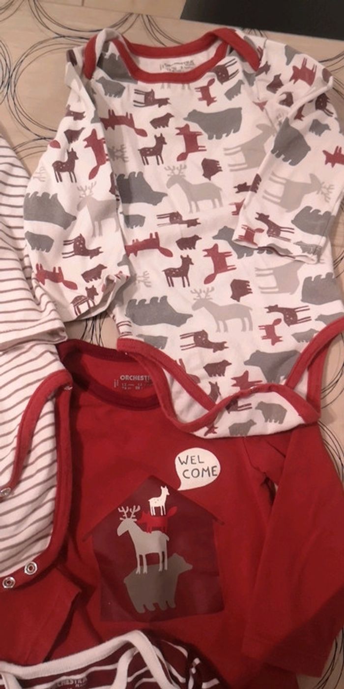 Lot bodies - photo numéro 3