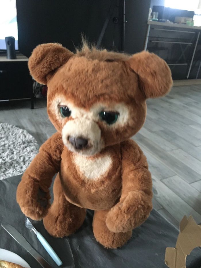 Ours 🐻 cubby - photo numéro 2