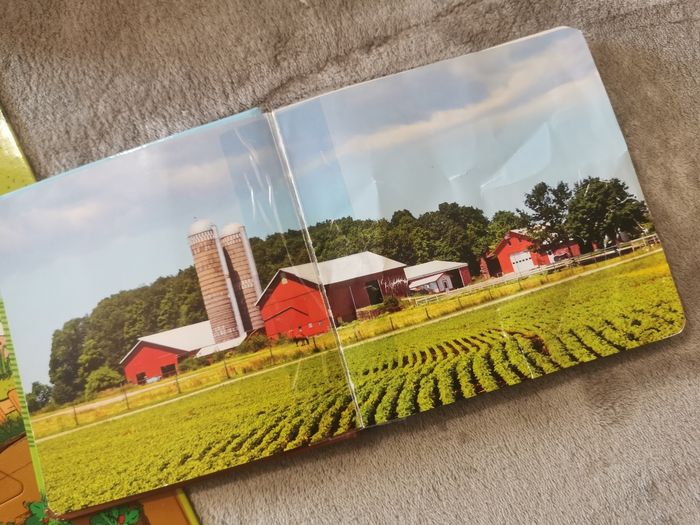 Puzzle - photo numéro 6