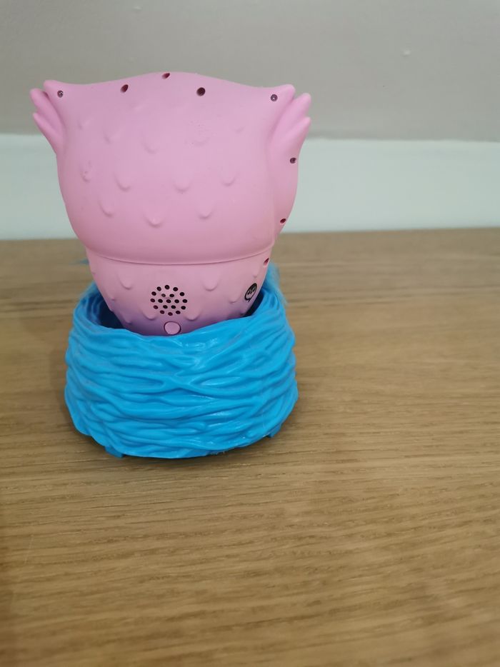 Owleez - photo numéro 5