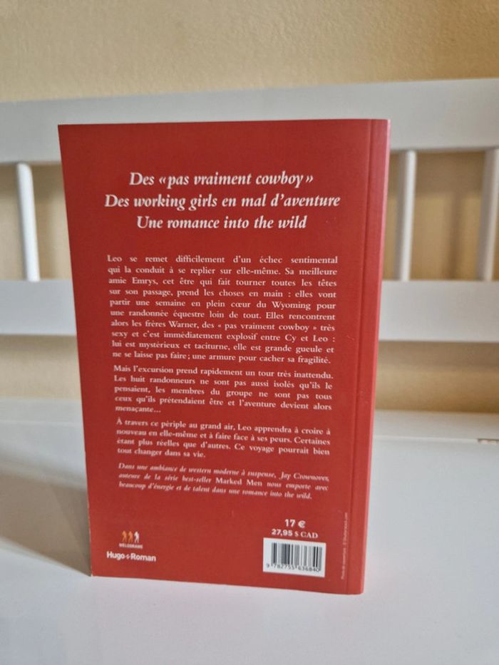 Livre romance - photo numéro 2