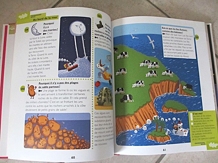 Livre enfant Mon premier Larousse des Pourquoi ? - photo numéro 6