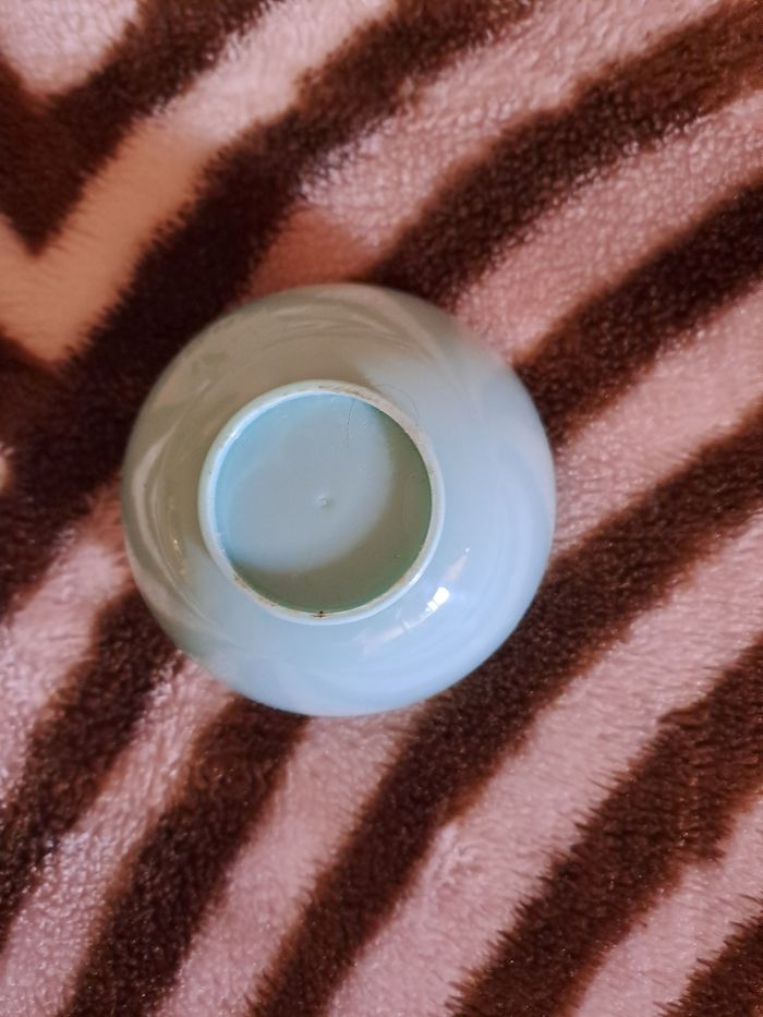 Bol en plastique - photo numéro 4