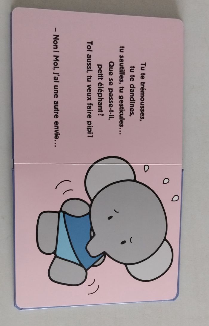 Livre bébé : Ça y est ! - photo numéro 4