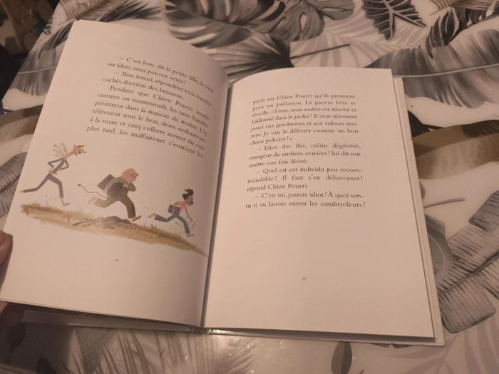 Album école des loisirs chien pourri - photo numéro 3