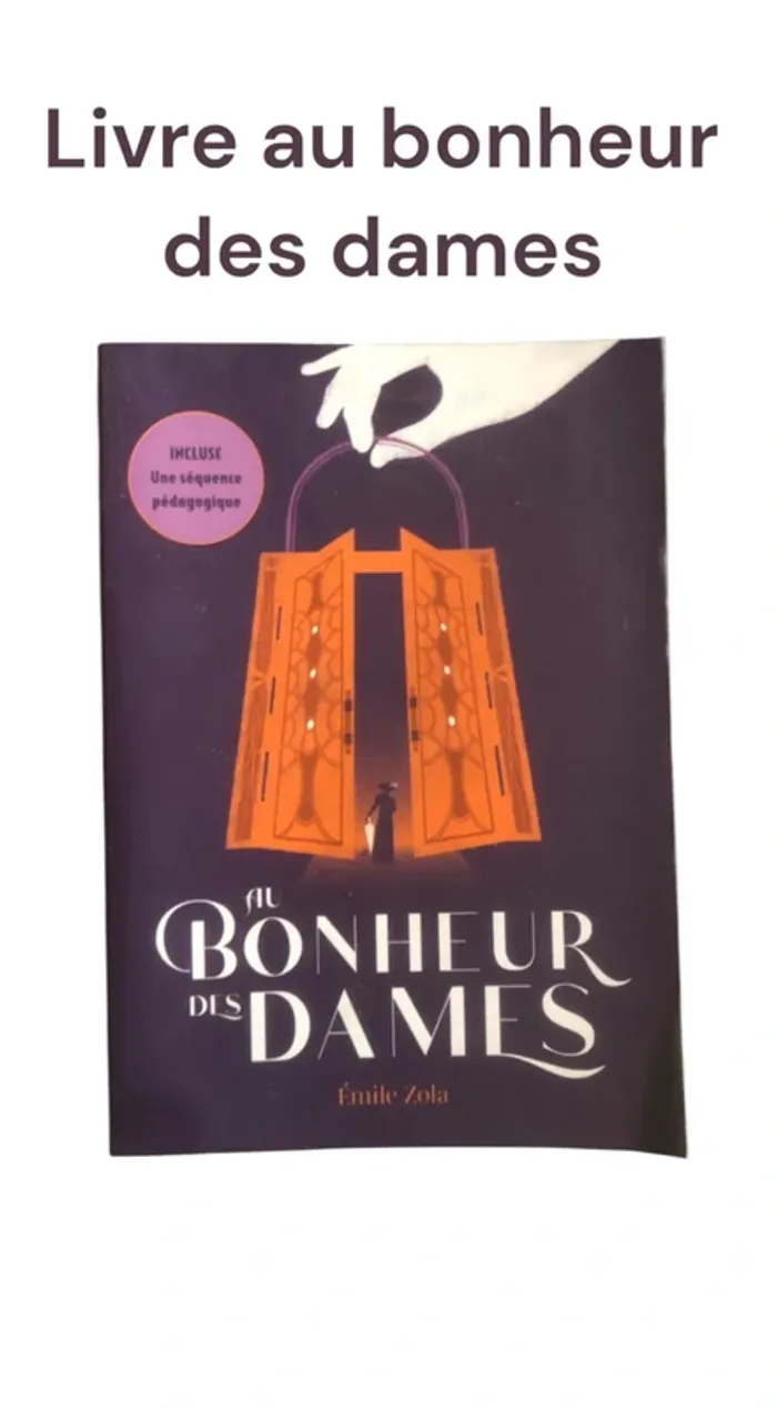 Livre au bonheur des dames 📕